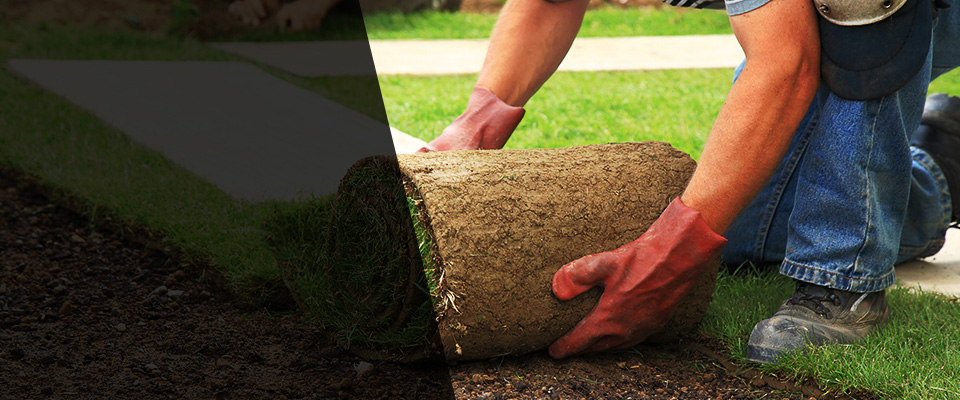 Lincolnville Landscapers